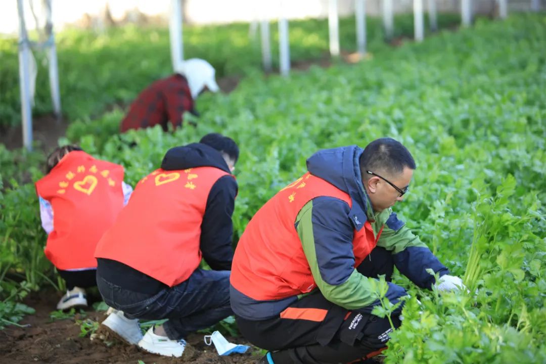 爱心助农，我们在行动！